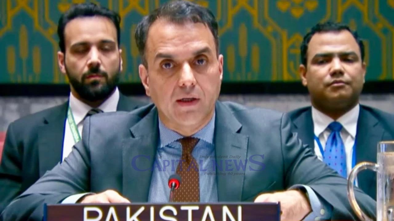 Pakistan condemns Israeli attacks on Lebanon at UNSC meeting