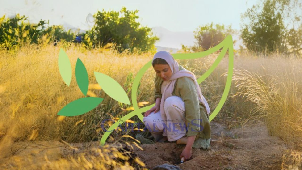 Saudi Arabia Restores 1M Hectares of Land, Earns UN Praise