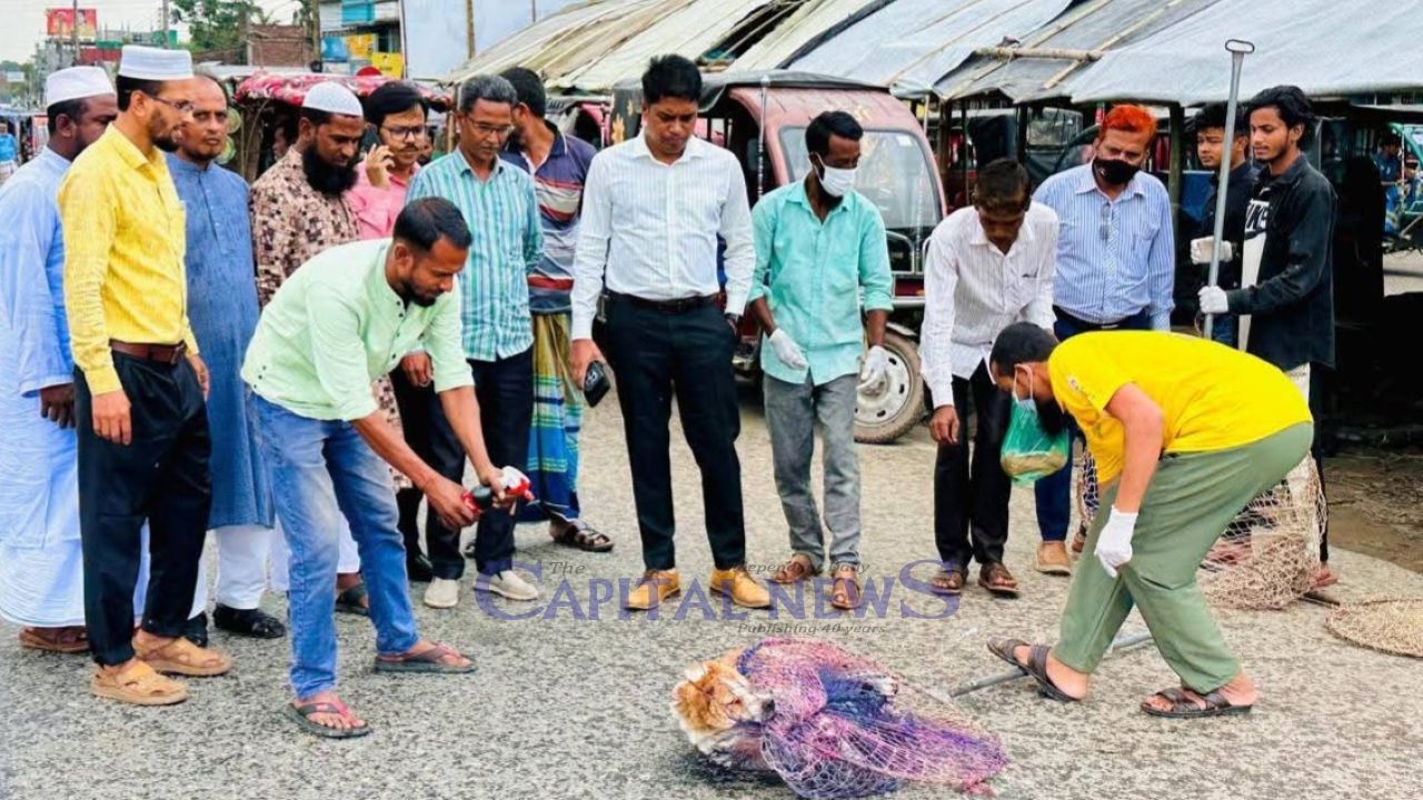 Vaccination of dogs and cats to prevent rabies in Phulpur