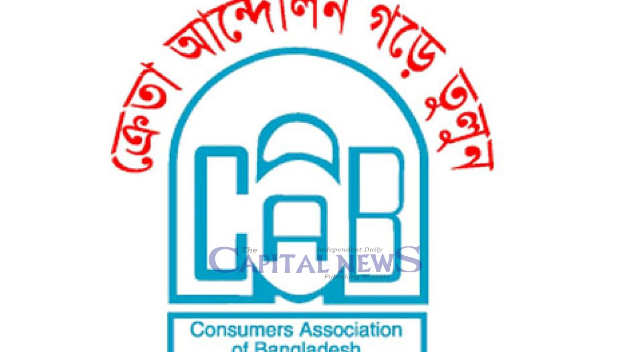 Call to Eliminate Urban–Rural Disparity in Power Distribution System, Says CAB Leader