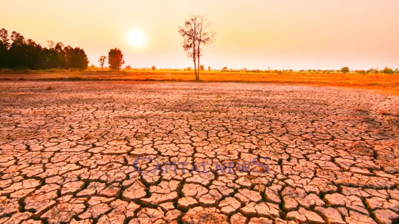 UN cautions: strong El Nino could disrupt weather patterns globally