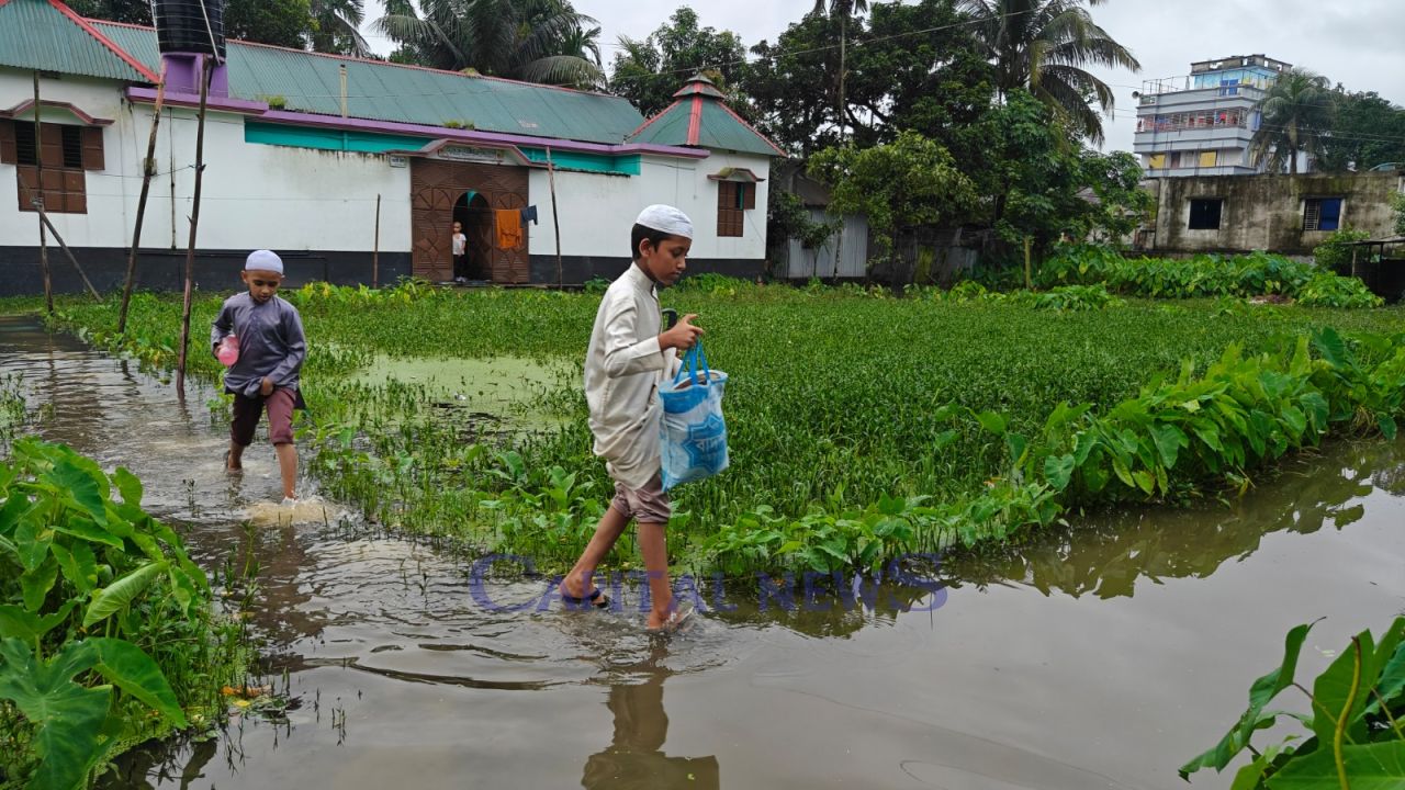 No solution to waterlogging in Phulpur wetlands even after 26 years