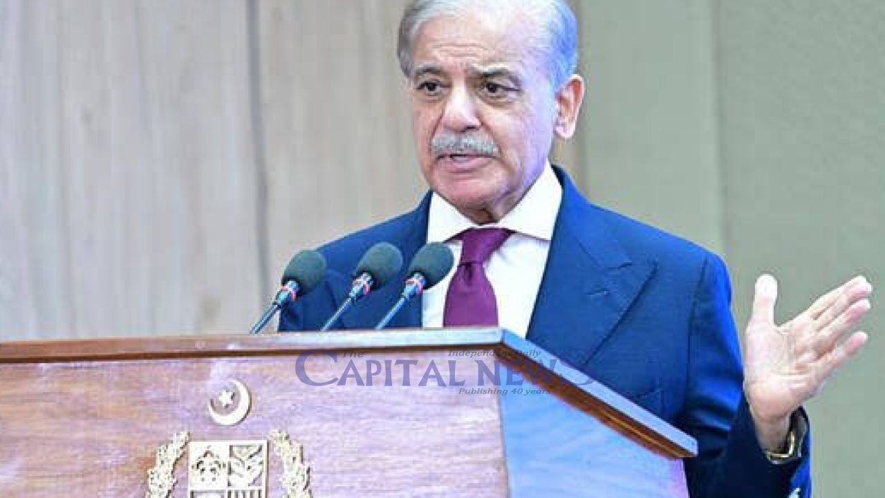 Shehbaz Sharif reaffirms Pakistan’s support for Kashmiris on Martyrs’ Day