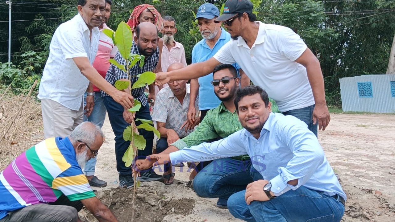 Pabna Rotary Club concludes month-long tree plantation campaign