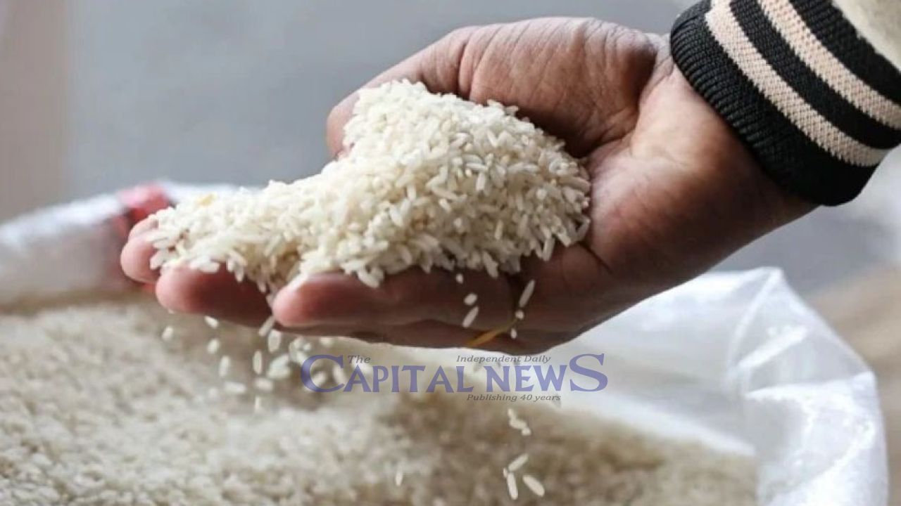 Australian Federal Court Dismisses Indian Appeal in Basmati Word Mark Case   