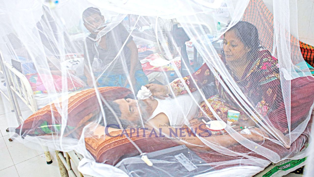 DSCC runs out of insecticide amid worst dengue outbreak